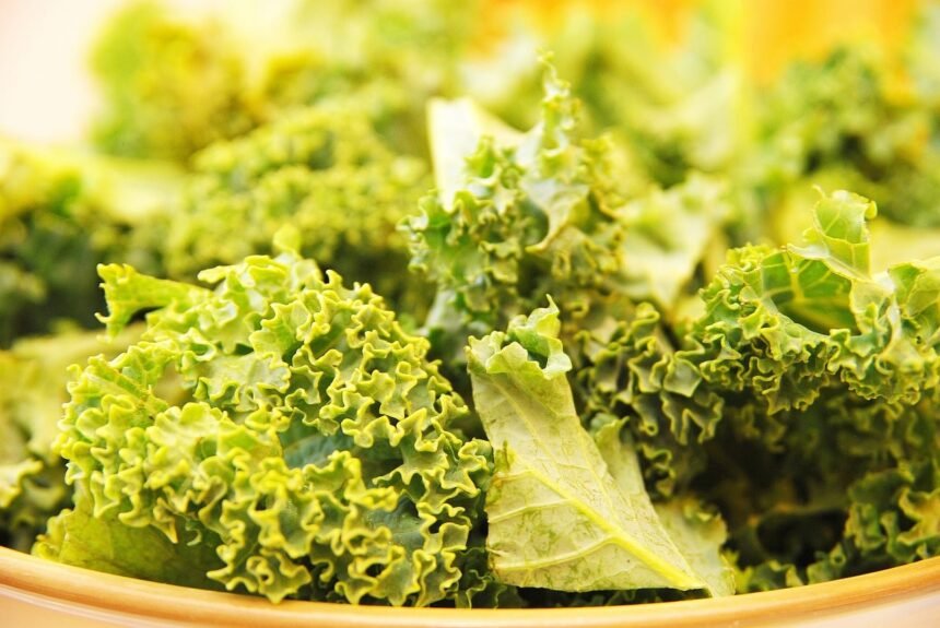 kale 792988 1280