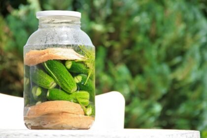 pickled cucumber 1630906 1280
