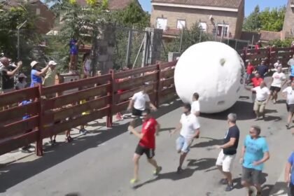 12911180 zamiast bykow ogromna kula hiszpanski festiwal inspirowany wyczynami indiany jonesa 4s