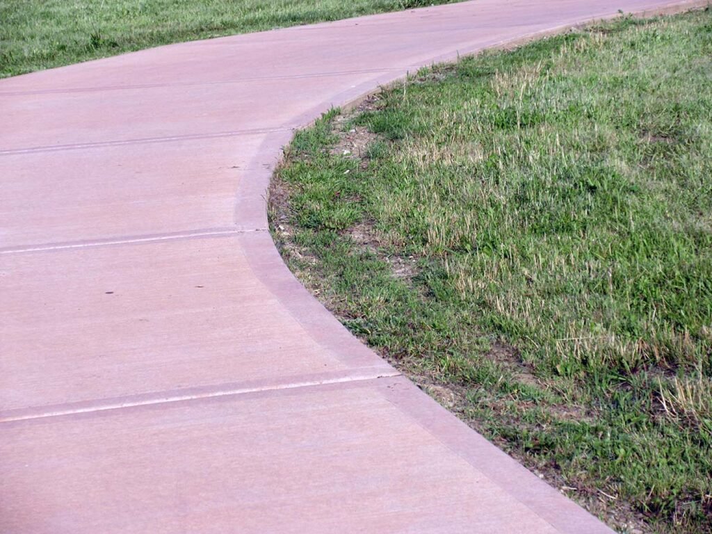 Kosić, nie kosić? Dylemat nie rozstrzygnięty 29 łąka 6