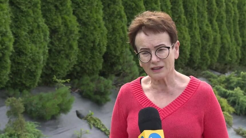 14404957 rzad planuje dalsze luzowanie obostrzen nieduze prawdopodobienstwo zakazenia sie na ulicy 47 74s