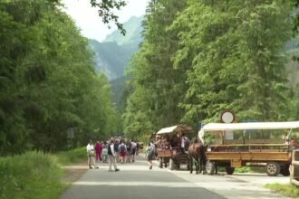 14407471 tlumy nad morskiem okiem i tlok na parkingu poltorej godziny czekalismy w korku 33 20s