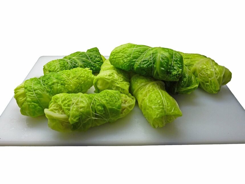 cabbage rolls 1123 1280