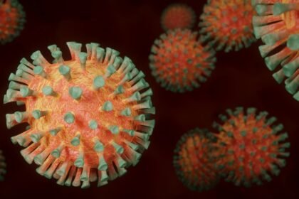 coronavirus 4972480 1280
