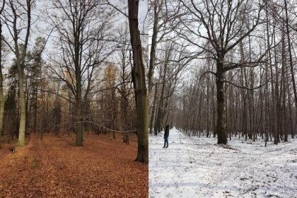 IMG 20201119 1009431