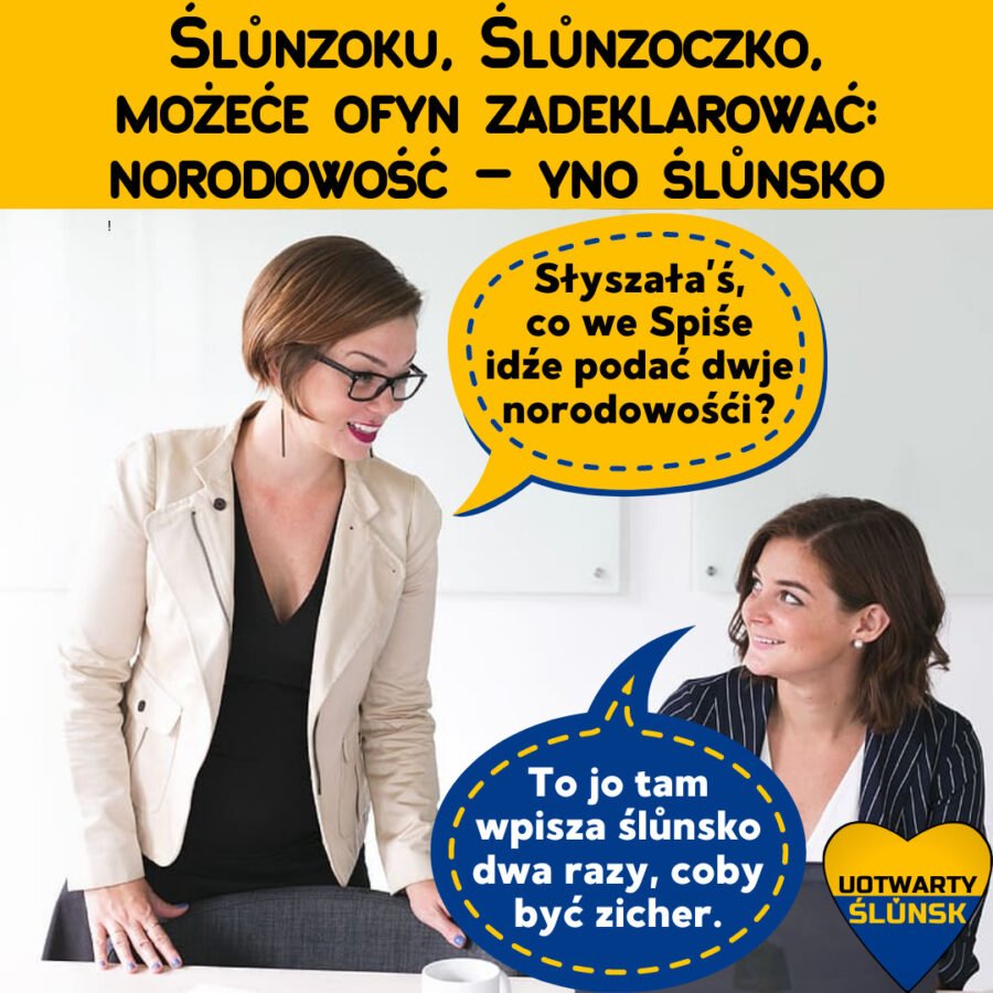 Bydzie "Ślōnsko Sztama" - trwa Spis Powszechny 2021. Wielu mieszkańców