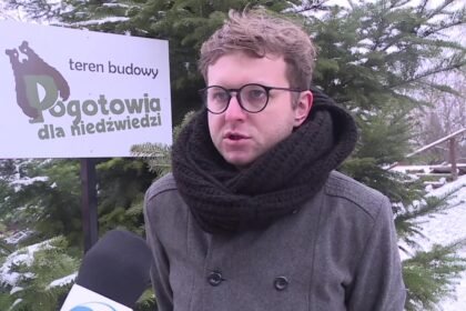 14820079 niedzwiadek blakal sie w poblizu domow w bieszczadach ma powazna infekcje neurologiczna 27 9s