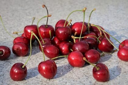 sweet cherry 4336086 1280