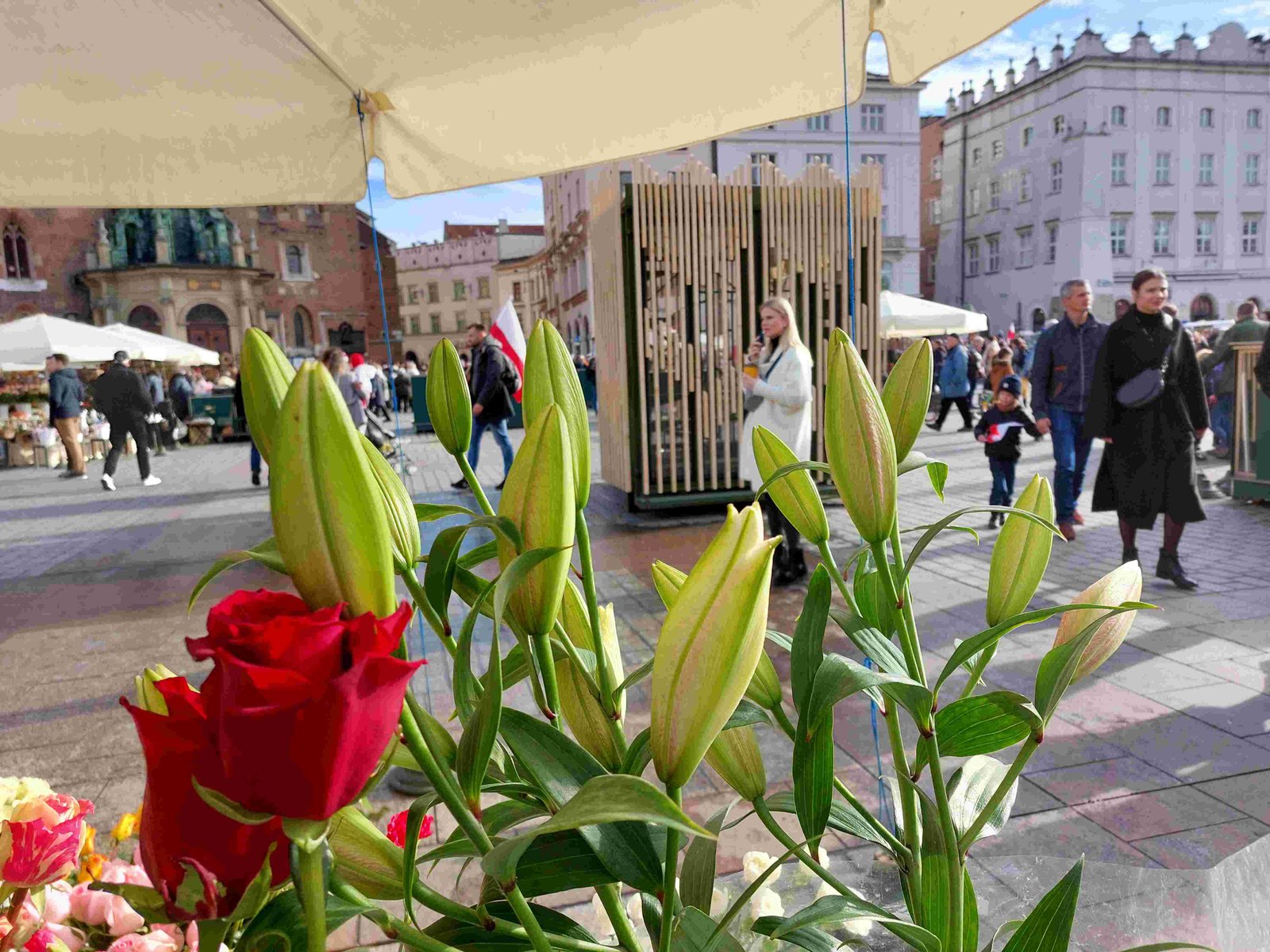 Kraków. Handel kwiatami na Rynku Głównym bez zmian