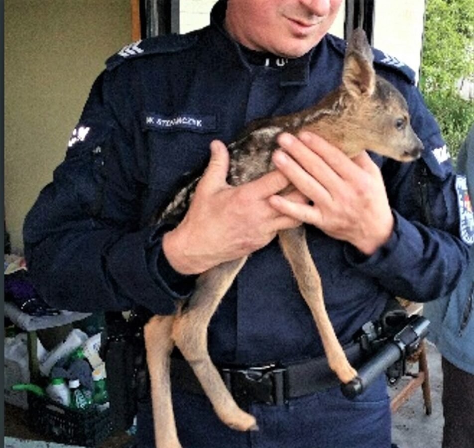 Sarenka na rekach u policjanta KPP Oswiecim.