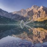 morkie oko wikipedia