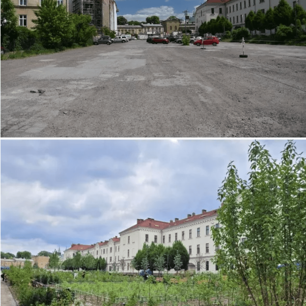 park szymborksiej porownanie