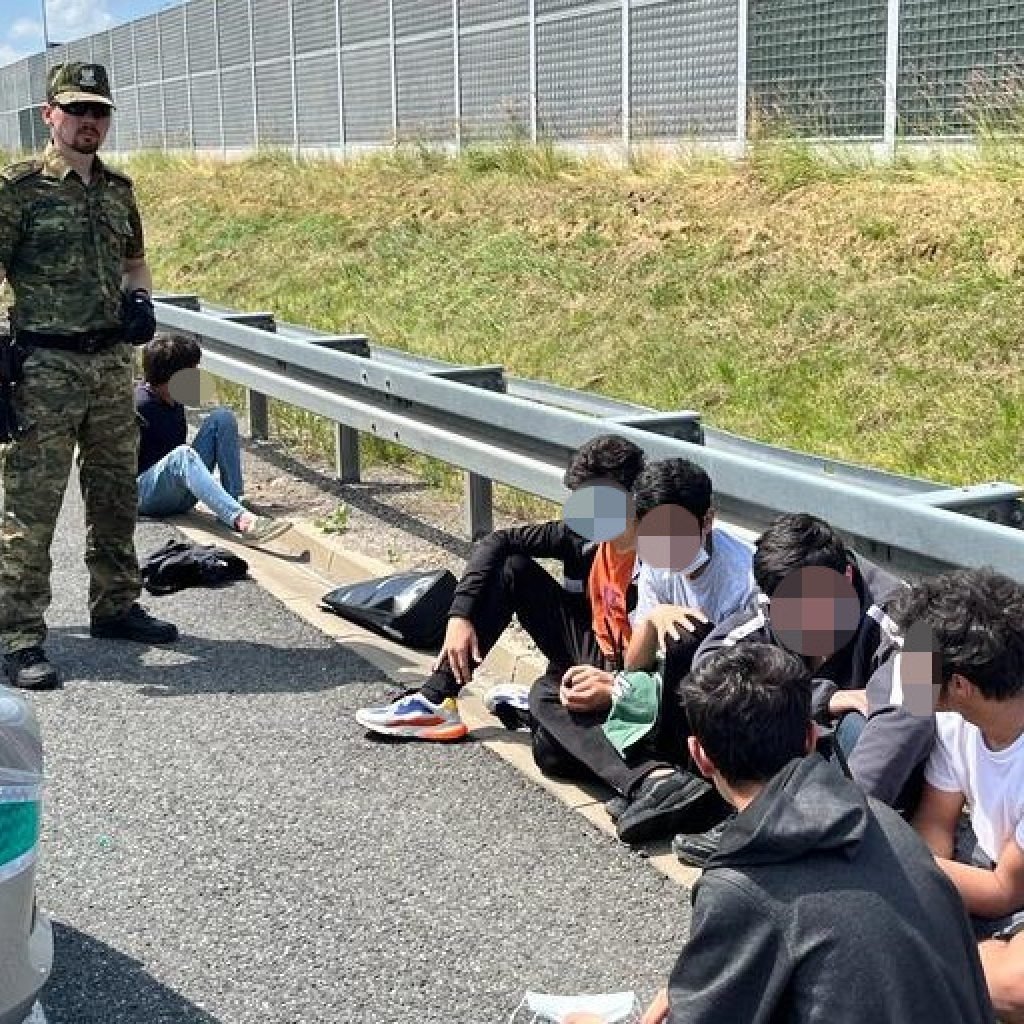 imigranci 1