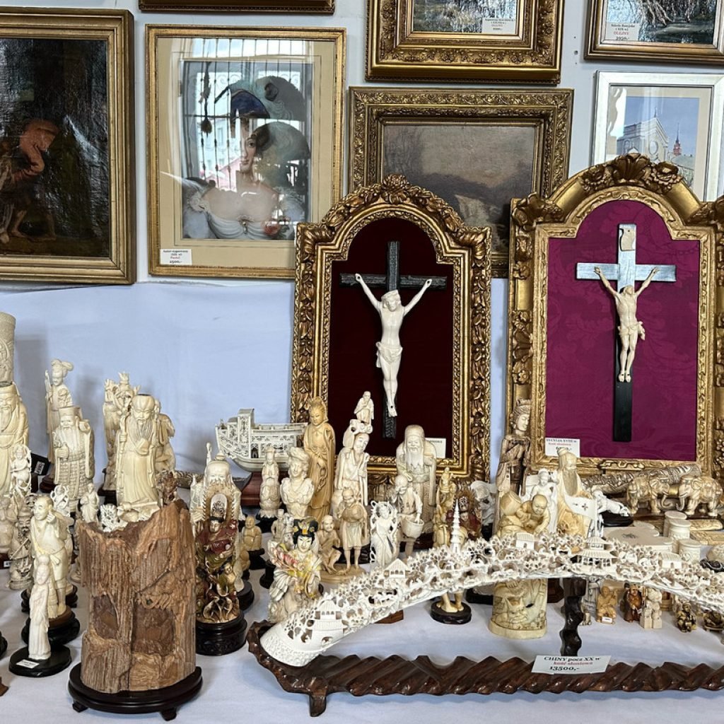 "Zakazane" eksponaty w galeriach sztuki w Krakowie i Tarnowie 9 kosc sloniowa 8