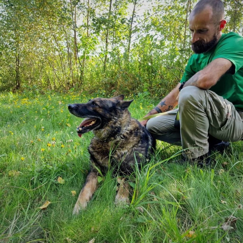Juhas od roku jest na emeryturze. Nadal pamięta komendy i zachowuje czujność 3 juhas 2
