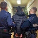 griuzin policja