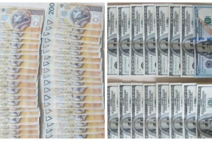 pianiedze dolary oszustwo policja