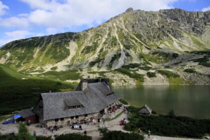 schronisko pap