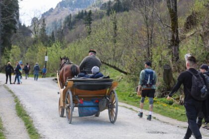 konie morksie oko pap