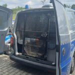 policja policja 1