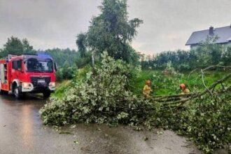 straz pozarna opady 2