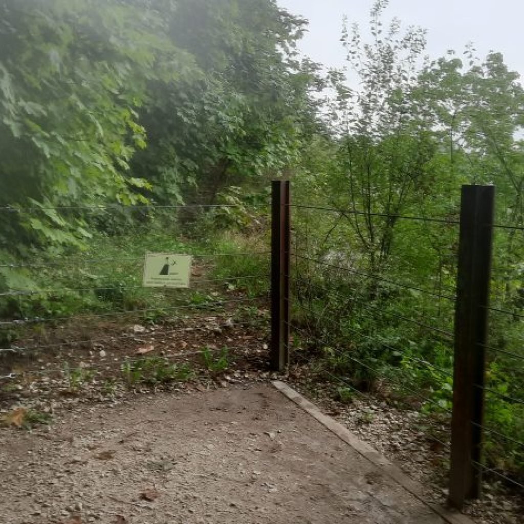 Kamieniołom Libana zostanie ogrodzony - podobnie do Zakrzówka 2 zakrzowek ogrodzenie geg