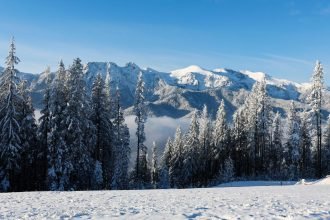 tatry snieg pap