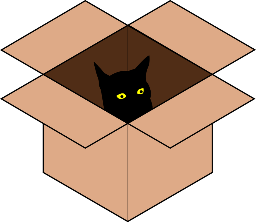 cat 7037118 1280