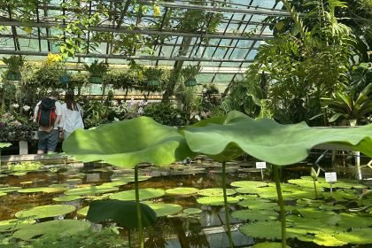 ogrod botaniczny