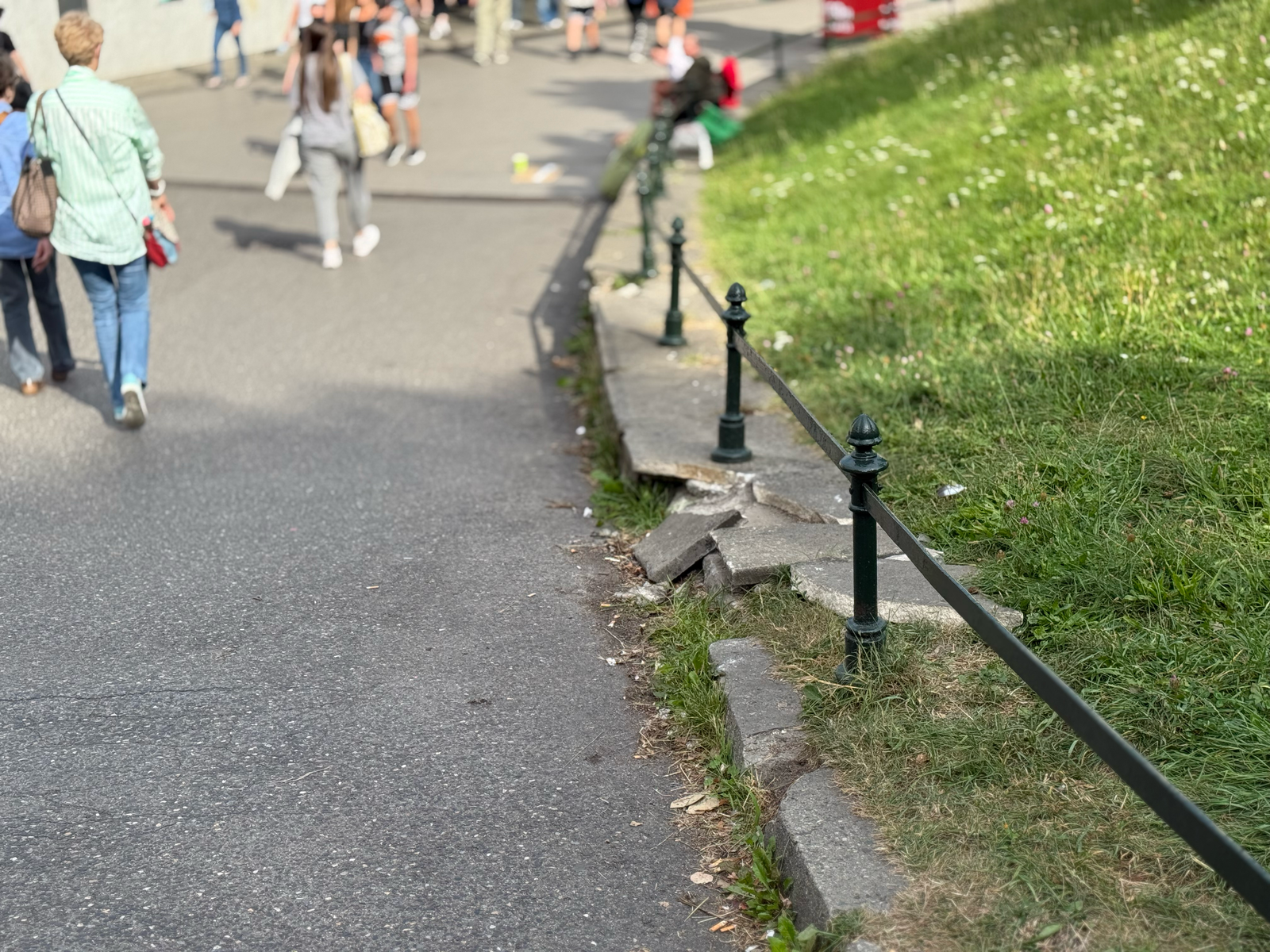 Kraków: miasto przygotowuje modernizację Plant