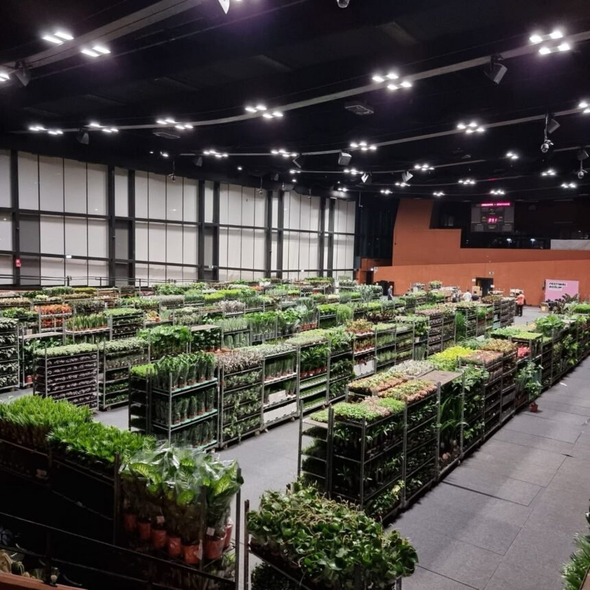 IMG 20250403 WA0001 1