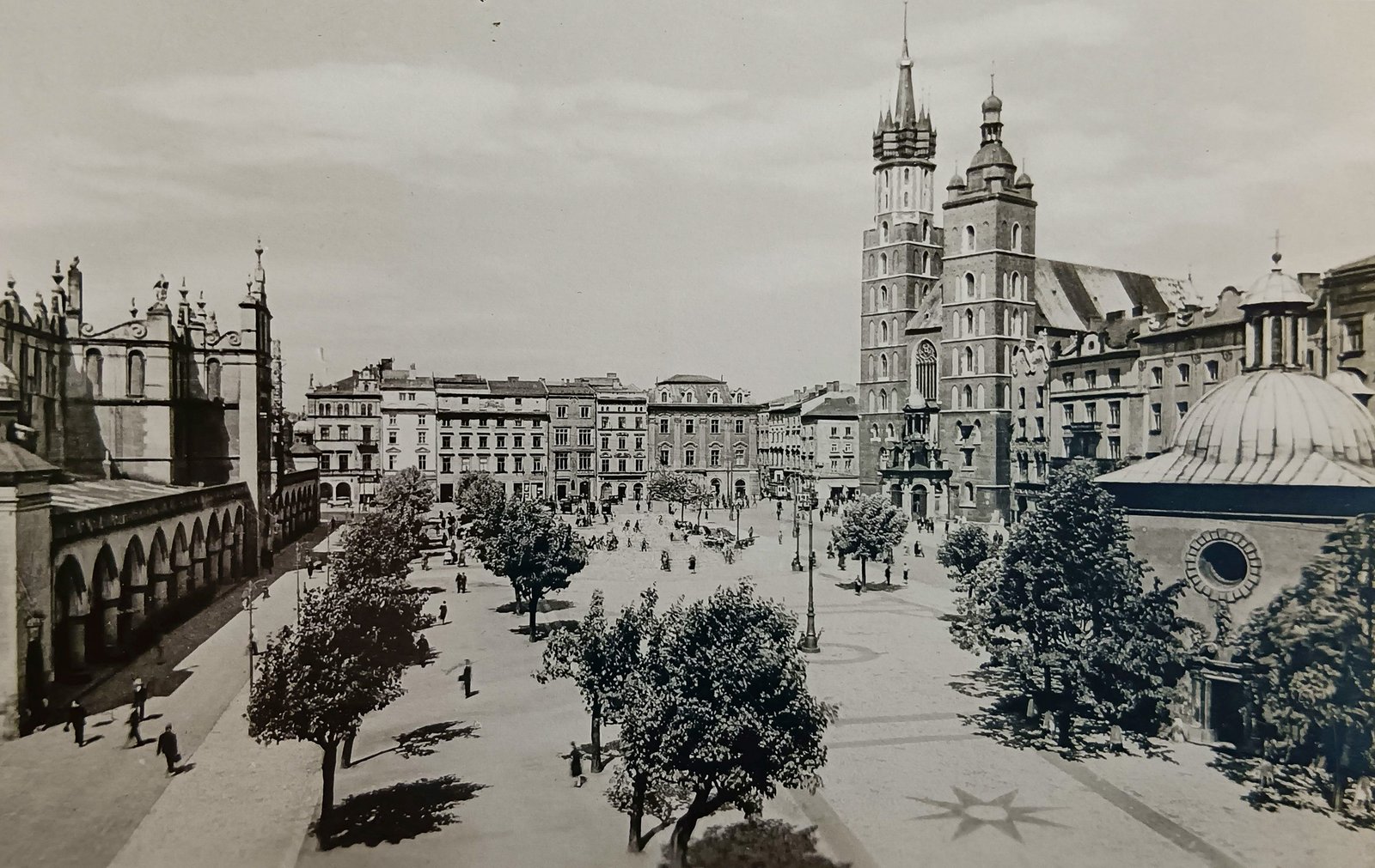 Kraków. Drzewa wrócą na Rynek Główny